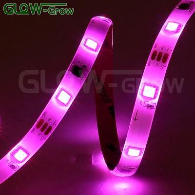 5050 UL Listed RGB WiFi Wireless Smart LED Strip Light for House Decor