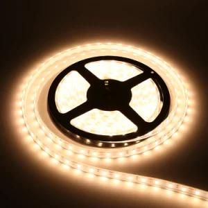 DC12V 2835 SMD Flexible IP65 Waterproof LED Strip Light 60LEDs/M