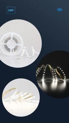 High Efficiency CRI&gt;80 One Bin LED Lm80 Approved UL CE Flex LED Strip