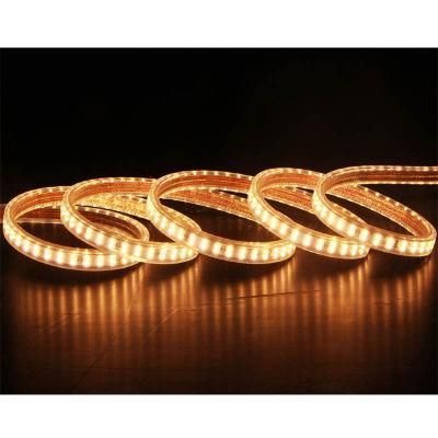 220V/230V LED Strip Light SMD2835 Double Line Ra80 Flexible Light