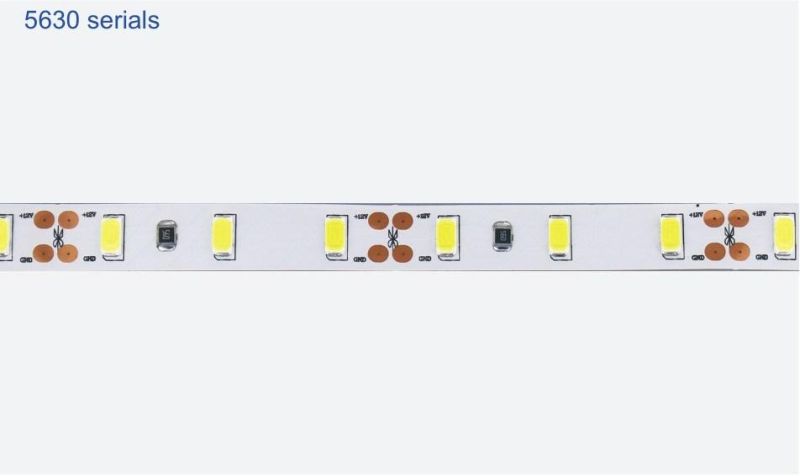 DC24V 10mm Width 60LEDs/M LED Tape Light SMD5630 LED Flex Strip
