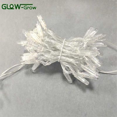 Transparent LED PVC Wire Colorful Christmas String Light with Flash Bulb 4+1