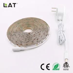 High Brightness DC24V 5m SMD2835 Ww/Cw 30/60/120LEDs Flexible LED Strip/Tape Ce/ETL/UL