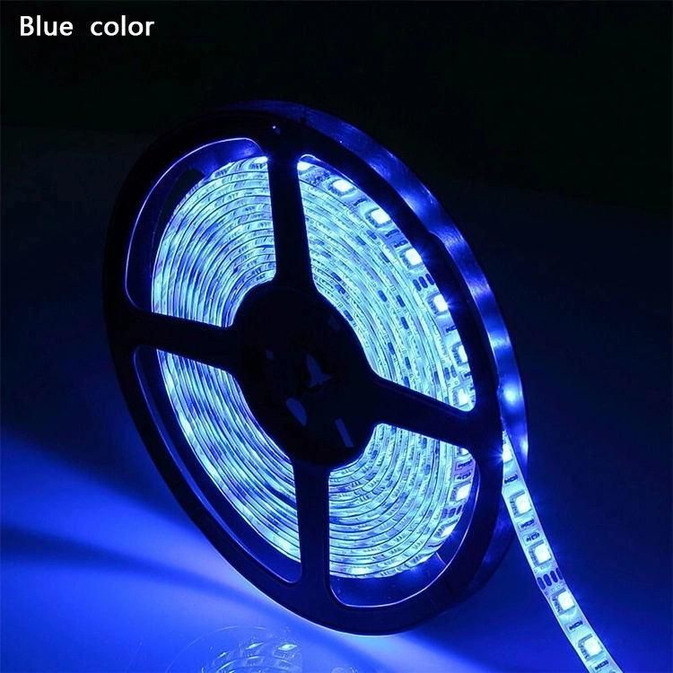 Waterproof Blue 12V LED Lighting Strip Lights Manufacturer