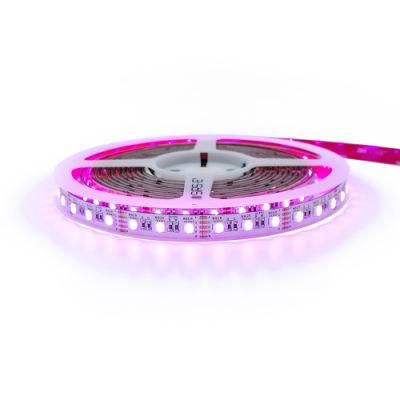 Customized RGB RGBW Rgbww Indoor DMX Cuttable 24V SMD 5050 LED Strip Light