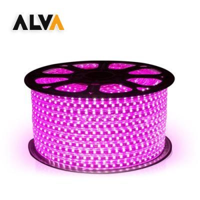 SMD 5730 /SMD2835 /SMD5050 Outdoor Waterproof LED Strip Light