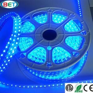 Blue/Warm White Color SMD050 LED Strip Better for Decoration