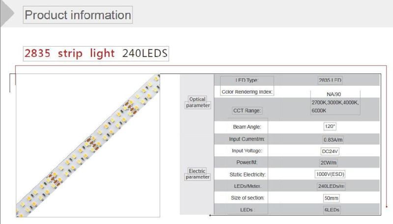 Double Rows Best Quality SMD LED Strip Light 2835 240LEDs/M DC12V/24V/5V for Side View/Bedroom