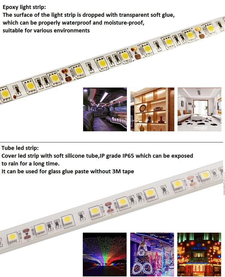 12V SMD5050 LED Strip Light IP 65 60/120/240LED/M RGB