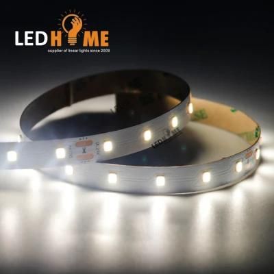 60 LEDs/M IC-Bulit-in LED Light Strip for Cabinet Light