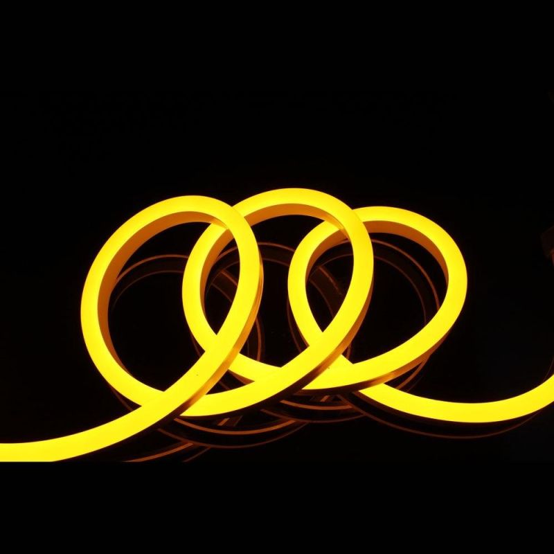 Customized Length LED Neon Lighting for Decorated Landscape Outdoor LED Neon Flex Strip Light