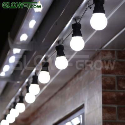 12m 40LED UL Listed Christmas LED Festoon Light for Hotel Decoration