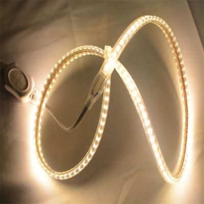 Top Quality SMD2835 120LEDs Flexible Ledstrip with 3 Years Warranty