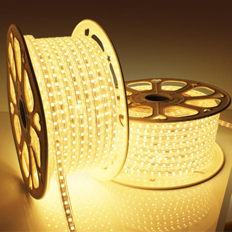 5050 60LED/M 220V 22W LED High Voltage Flexible Strip