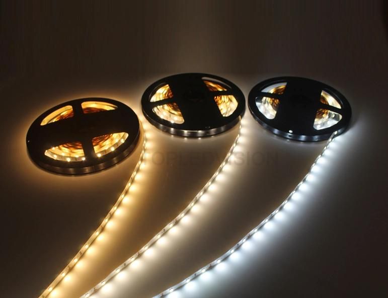 SMD2835 LED Strip 60LEDs/M 12W with TUV Ce Approval