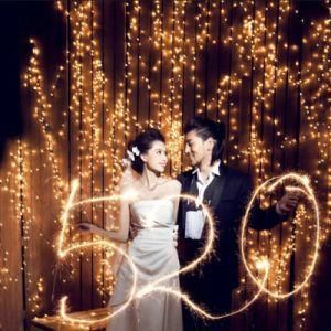 Simple and Elegant LED Curtain Light for Wedding/Birthday/Party Decoration