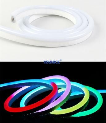 Flash Color Chasing Spi 5050 RGB LED Neon Strip with Stable Signal for Showcase Lighting