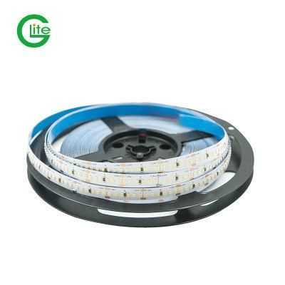 DC24V Non-Waterproof SMD 2216 LED Light Strip 240 LEDs Strip
