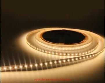 6mm 168LEDs/M 24V High Brightness SMD 3014 LED Light Strip