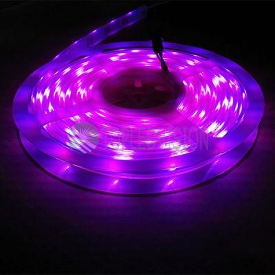 Digital Addressable RGB LED Strip 60LEDs 12V/24V DC Option