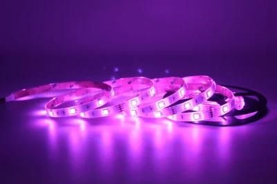 SMD5050 Waterproof Fire-Resistant Silicon LED Tape Flexible IP65 RGB LED Strip Light