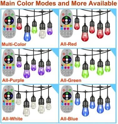Dimmable Bulb Remote Control LED Outdoor RGBW Color Changing String Light for Garden Patio Backyard