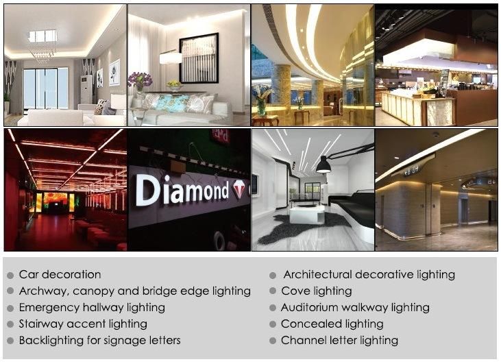 High Brightness 160LED 224LED 3024lm/M 150lm/W 2835 LED Strip Light with 5 Years Warranty