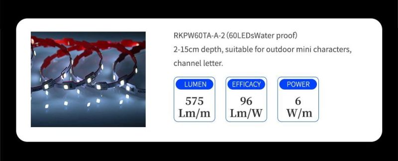 DC12V SMD2835 4000K Warm White Waterproof Flexible LED Strip