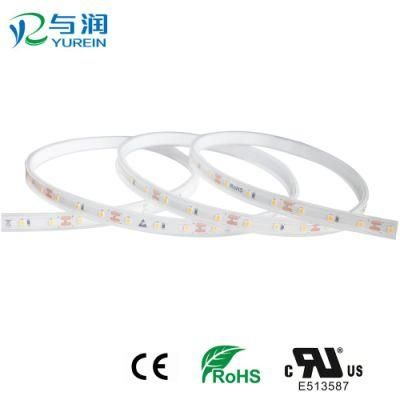 TUV-CE, UL Approved IP65 Waterproof LED Strips for LED Lighting
