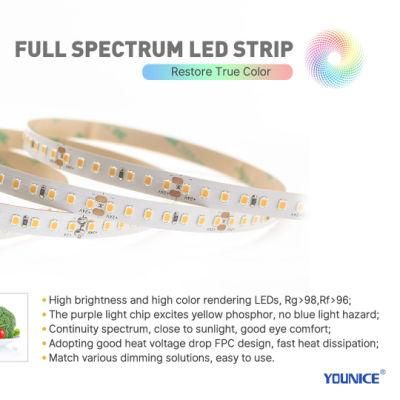 Full Spectrum LED Strip Without Blue Light Harm for Health Lighting