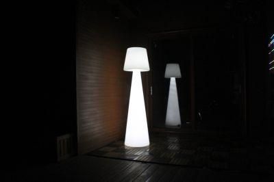 LED Decoration Light Floor Lamp