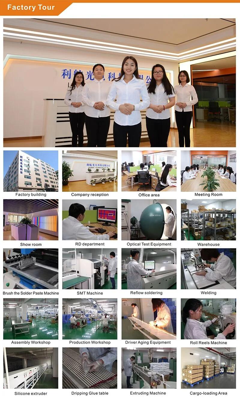Super high Brightness LED Strip lighting 3014 with the certification of CE RoHS FCC