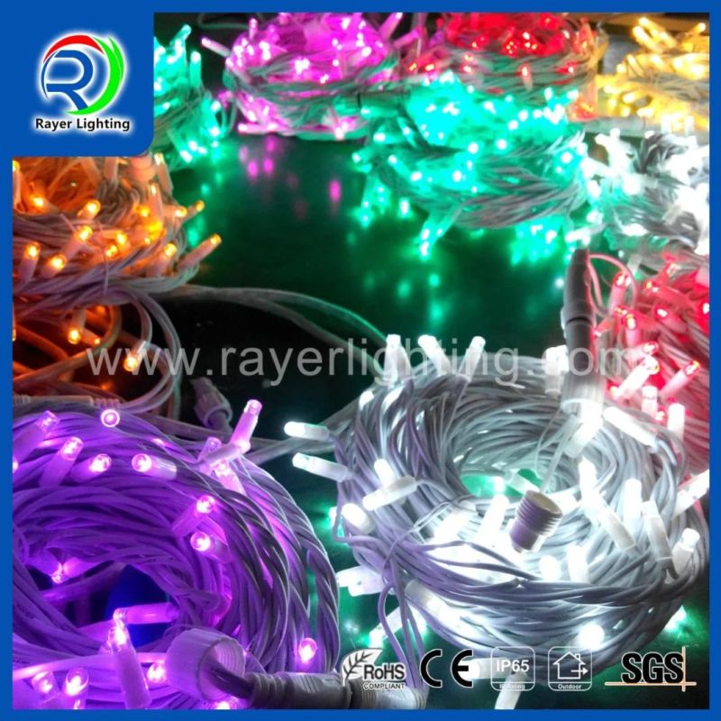 LED Outdoor Holiday Decoration LED String Light W Bithubble LED Outdoor Decoration