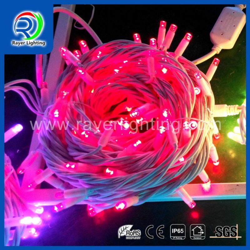 LED Twinkle Light LED Holiday Outdoor Decoration LED String Light LED Home Light