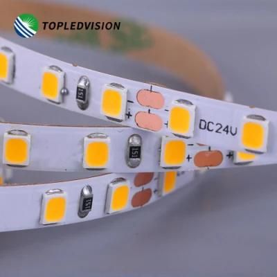 SMD2835 120LEDs/M 8/10mm Flexible LED Light Strip Single Color IP20