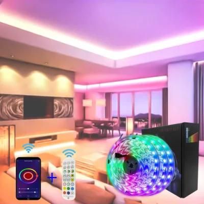 Durable Holiday Decoration Flexible Lamp 5050 RGB Light LED Strip