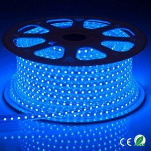 Blue Color SMD5050 LED Strip Light