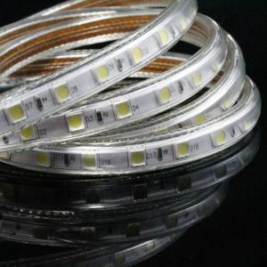 60LEDs IP67 5050 Christmas Party Decoration Light