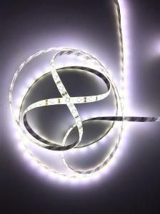 SMD 2835 LED Strip Light Waterproof