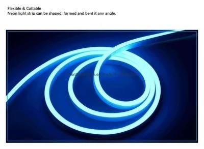 3000K Warm White IP65 Waterproof RGB LED Light