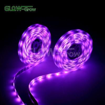SMD5050 RGB CCT 10 Colors in 1 LED Flexible Strip Light with UL Approval