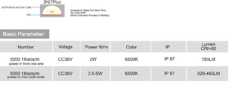 36V Constant Current 5050SMD 18LEDs/M 6500K IP67plus Moisture Proof 329-465lm LED Strip for Kazakhstan Mine Projects