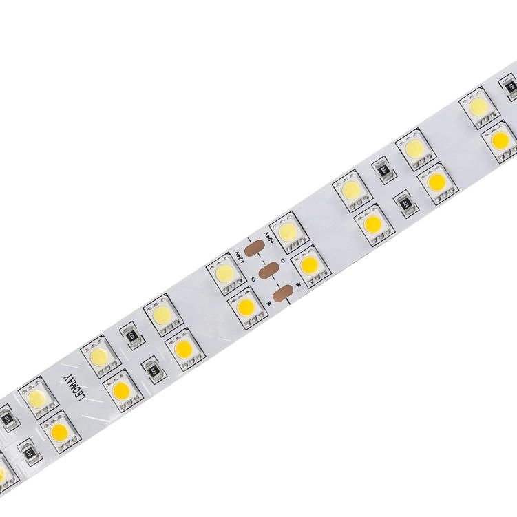 Newest Price  SMD 5050 120LEDs/m CCT Adjustable LED Strip Lights with CE cetification