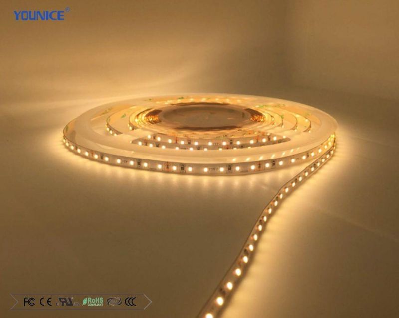 200lm/W Super Bright DC24V Decorative Lighting SMD2835 LED Flexible Tape Light Strip