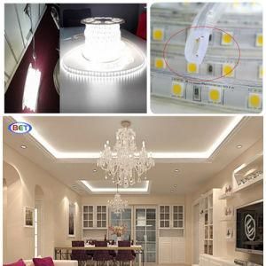 110V 220V Colorful PVC LED Strip Rope Light