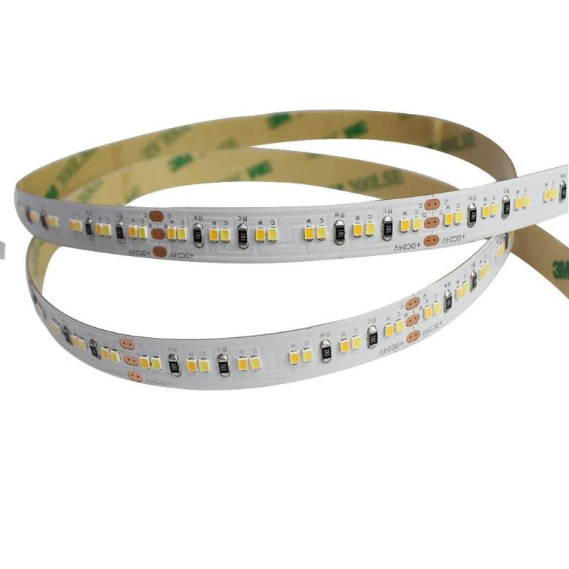 Hot Selling 168LED 10mm Width SMD2216 Strip CCT Flexible LED Strip