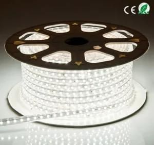 Cold Wihte SMD5050 LED Strip Light Super Bright LED Rope Light