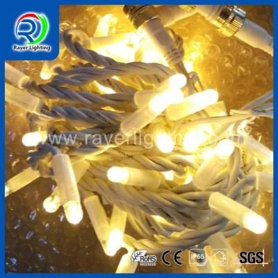 10m 100LEDs Outdoor Party Decoration Christmas Light LED String Light