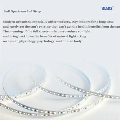 10mm Width DC24vd CRI&gt;95 Ra&gt;97 Full Spectrum 4000K LED Strip