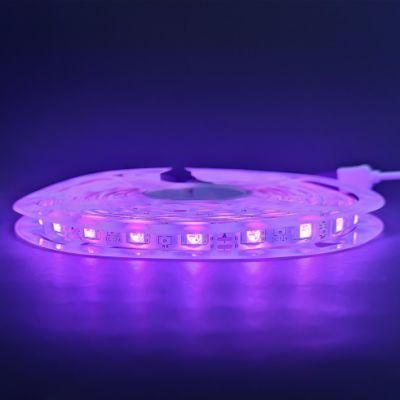 Hot Selling Outdoor Decoration 5m Flexible Lamp SMD5050 Waterproof 12V Flex RGB LED Strip Light